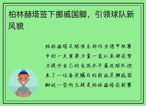 柏林赫塔签下挪威国脚，引领球队新风貌